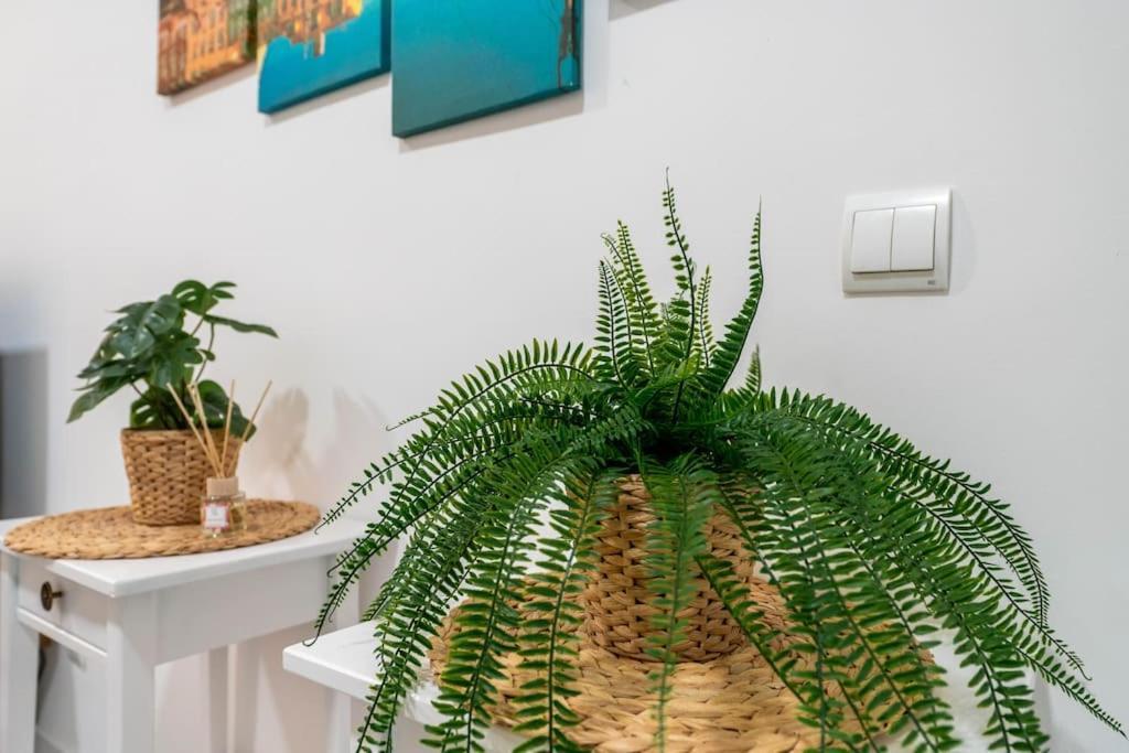 Appartement Chic In Heart Of Town